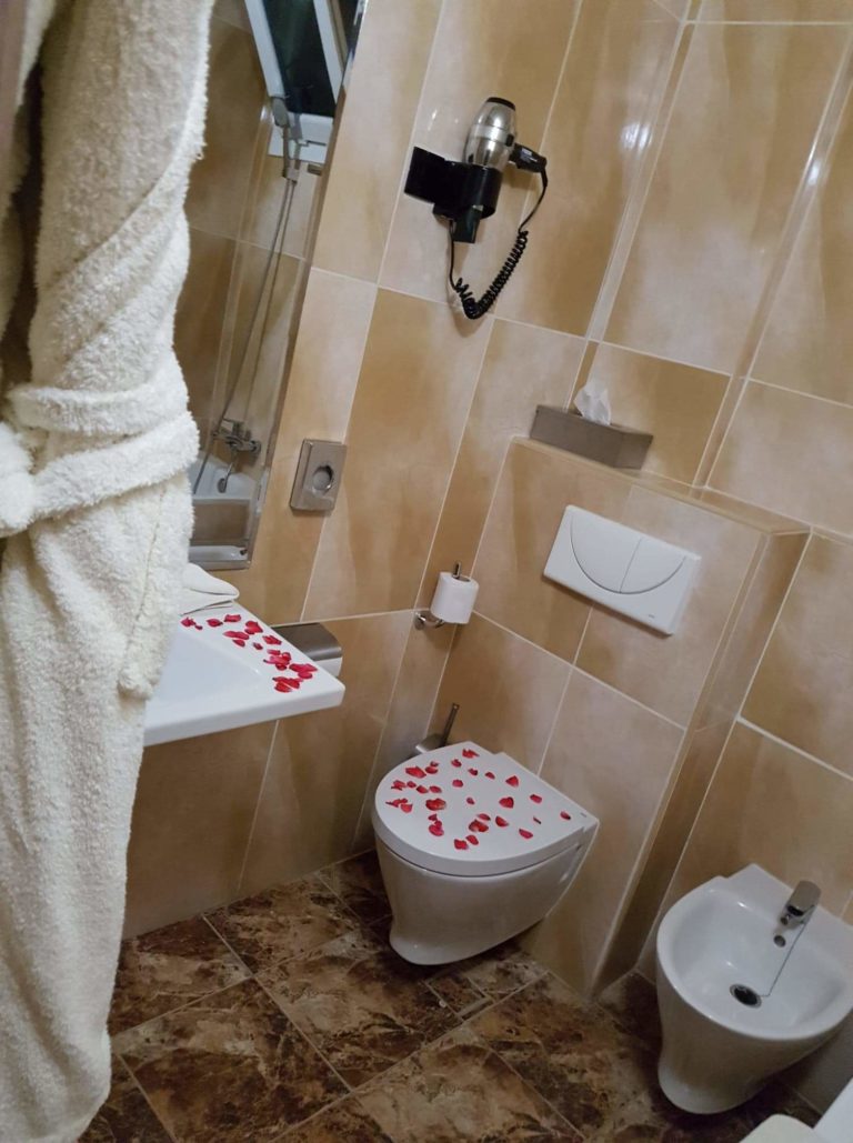 H  bergement     Hotel Roseraie
